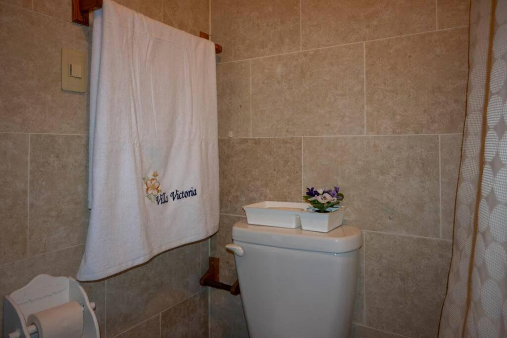 Villa Victoria Jarabacoa Extérieur photo