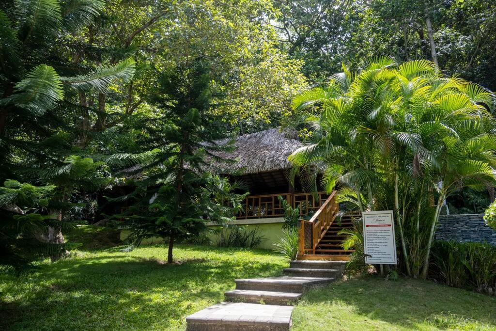 Villa Victoria Jarabacoa Extérieur photo